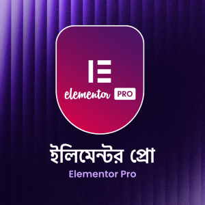Elementor Pro